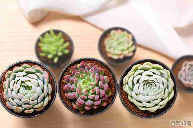 无限暖暖里水晶块跳跃的一些小技巧,别只靠运气了 无限暖暖里水晶块跳跃的一些小技巧,别只靠运气了