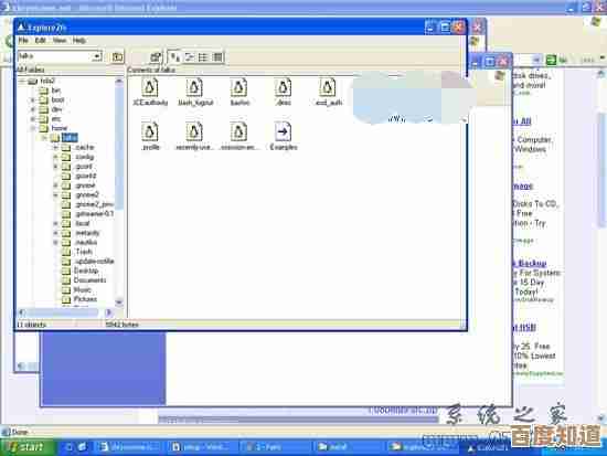 访问Linux系统官方网站：获取开源操作系统的完整指南与最新动态