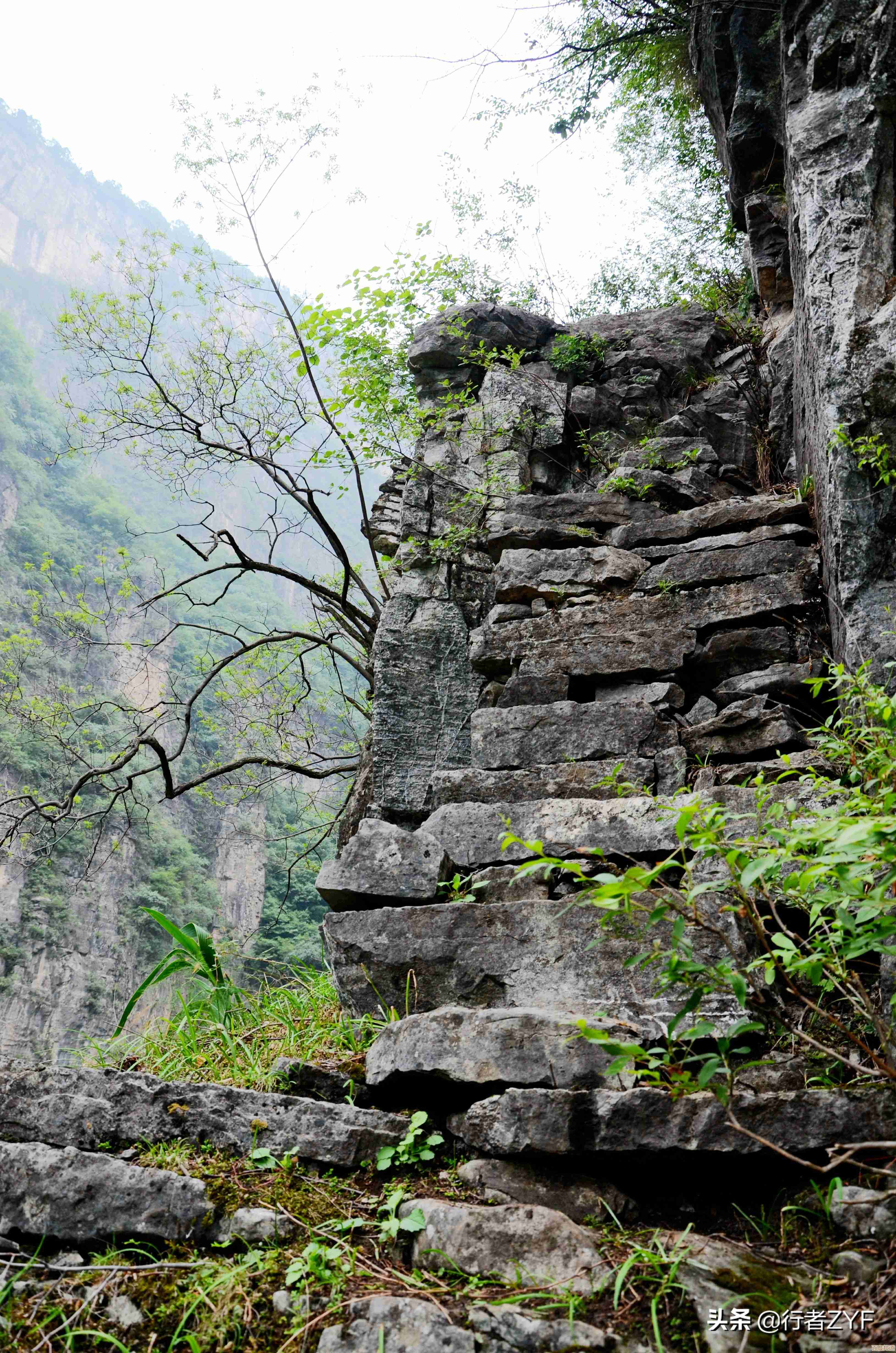 移动办公笔记本选购指南:天梯图助你找到最佳性能搭档 移动办公笔记本选购指南:天梯图助你找到最佳性能搭档