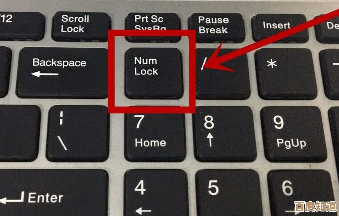 电脑键盘失灵别慌张,掌握这些方法轻松应对突发状况