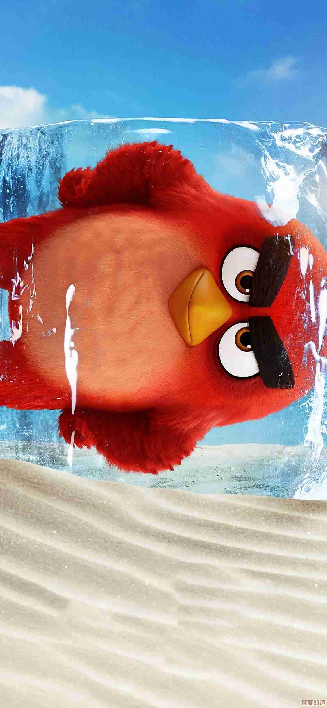 想找好玩的愤怒的小鸟游戏?这些经典与新作手游值得试试.