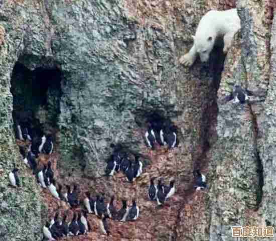 动物天堂的隐藏玩法我只敢透露半截,别想全知道 动物天堂的隐藏玩法我只敢透露半截,别想全知道