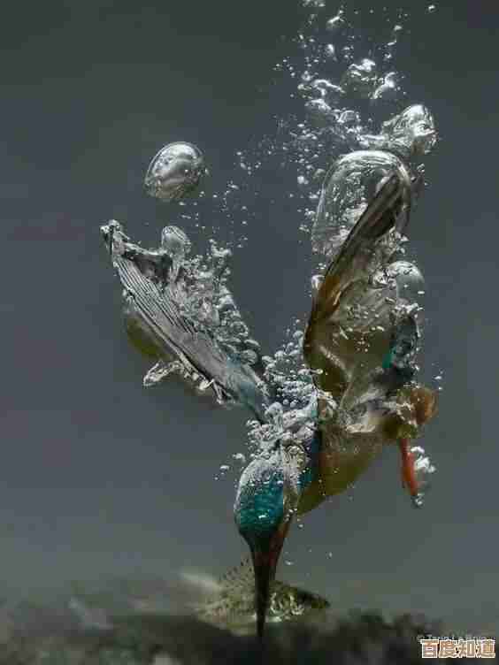 创意无限:用视频捕捉生活中的每一个精彩瞬间