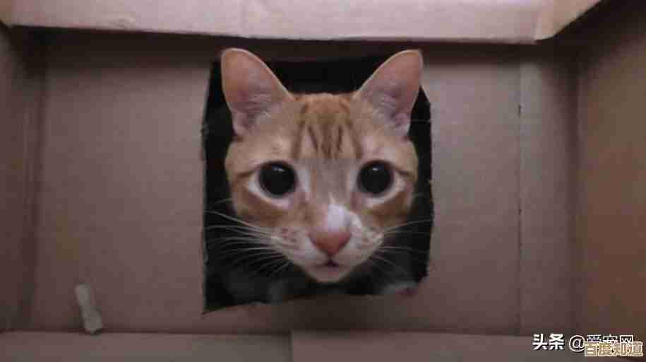 探索游戏盒精彩世界,热门游戏一触即玩!