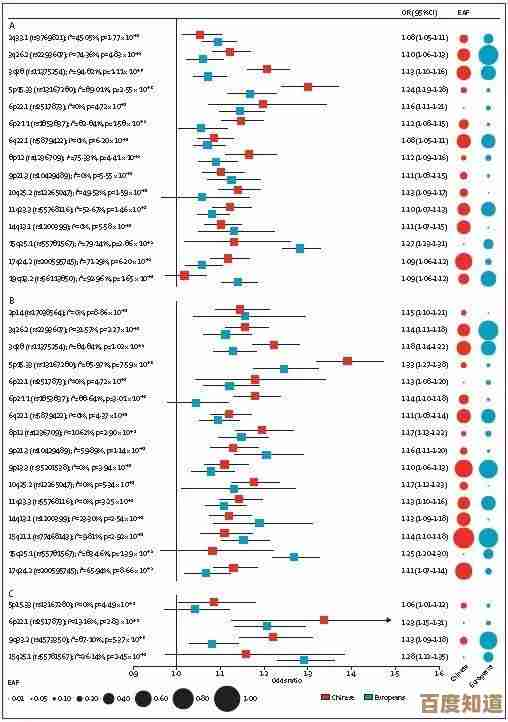 智能手机前沿速递：用户体验测评与功能创新全视角解读