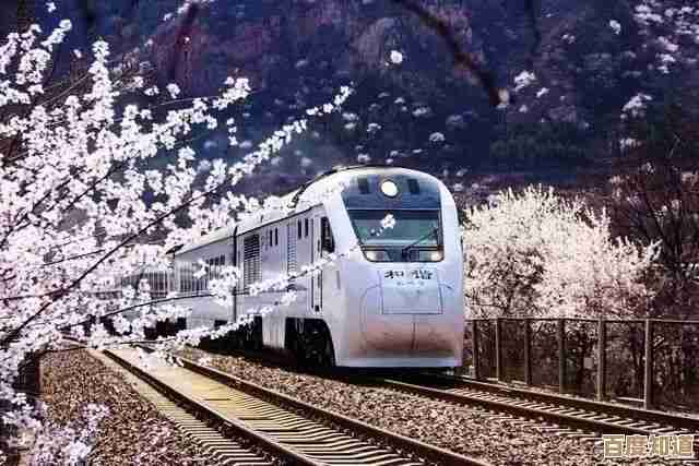 探索高效方法:如何安全解开加密压缩文件的密码