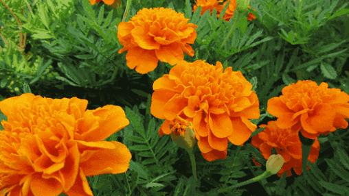 《无限暖暖》碧蓝的秘密任务达成攻略