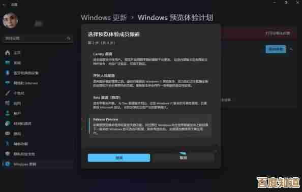 Win11系统更新安装详解:快速升级指南,体验微软最新优化与特色!