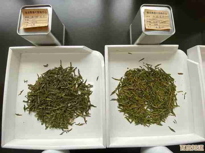 专业拍摄技巧大公开：学会这些方法，让你的视频质量瞬间升级！