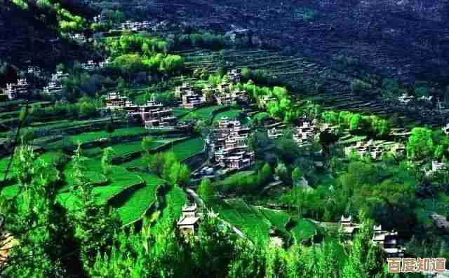 《桃源深处有人家》建筑物升级那些事儿，先把这几招记着