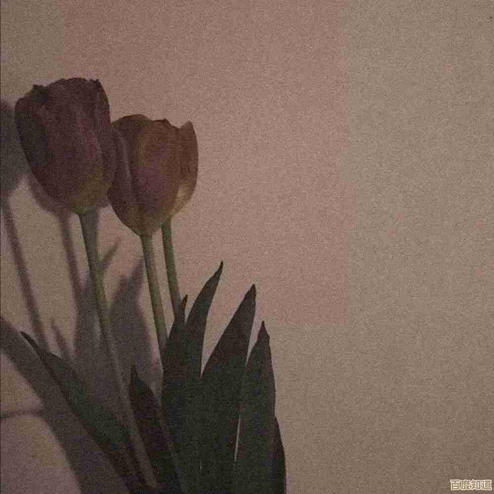 手机背景图随心定制，打造你的专属视觉风格，展现独特个性！