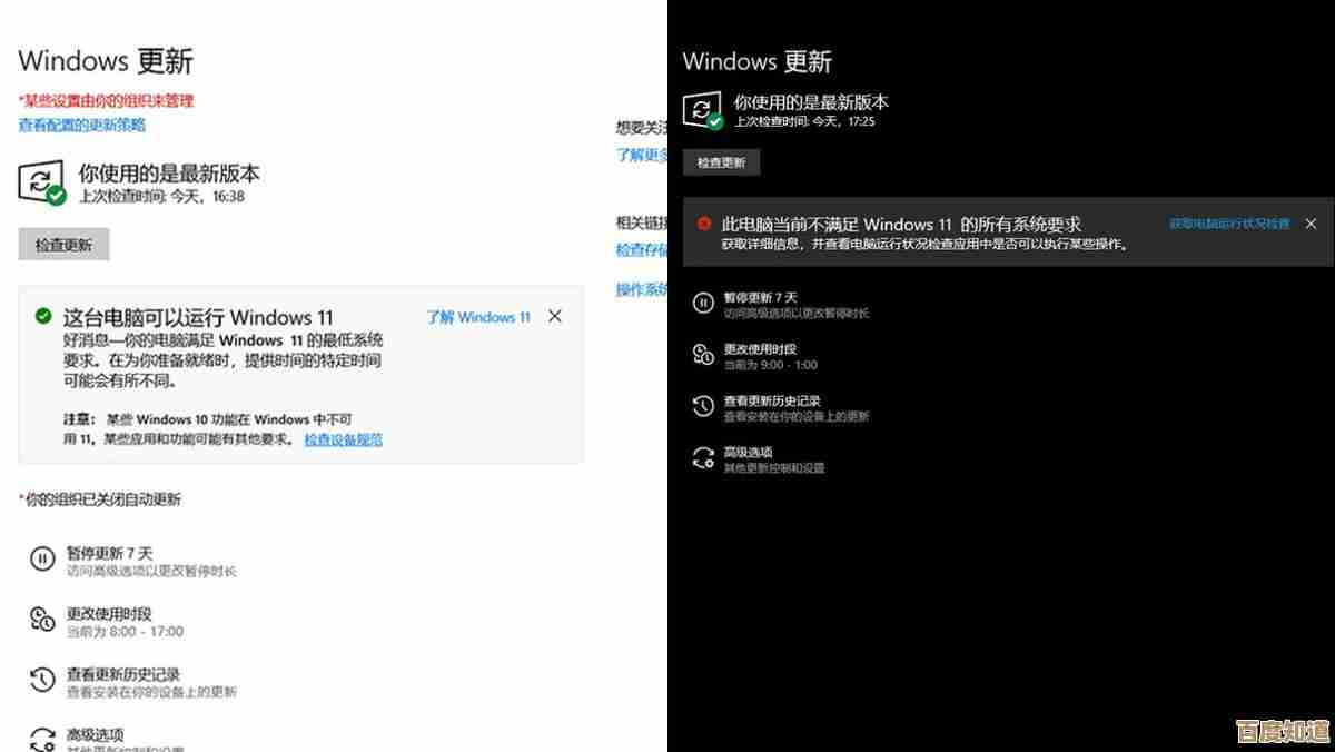 Win11 专业版限时免费升级，即刻畅享全新功能与流畅体验！