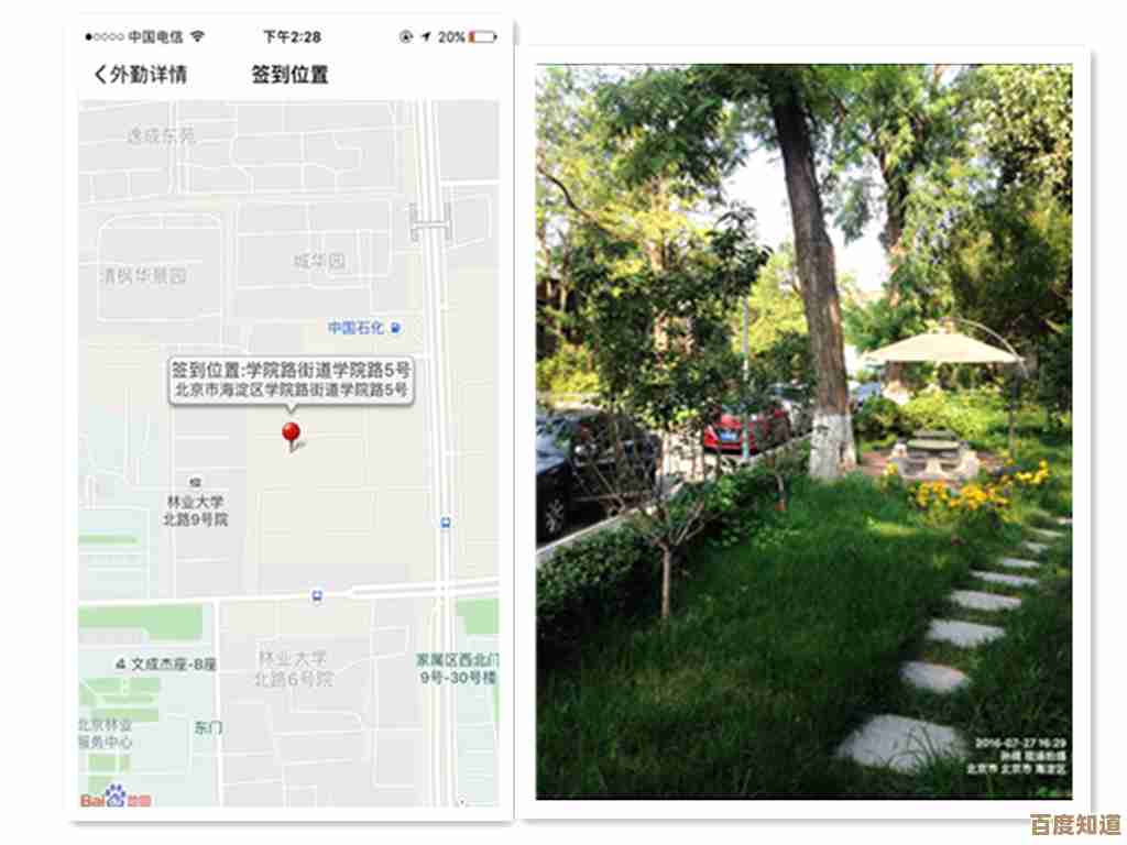 精选桌面应用优化工作效能，实现专业与便捷完美结合