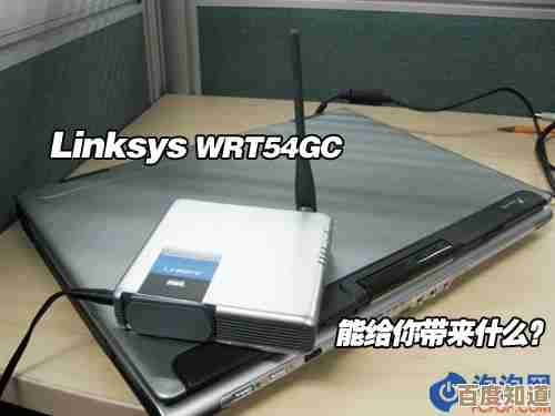 小鱼教您笔记本无线上网技巧，轻松实现移动办公与娱乐