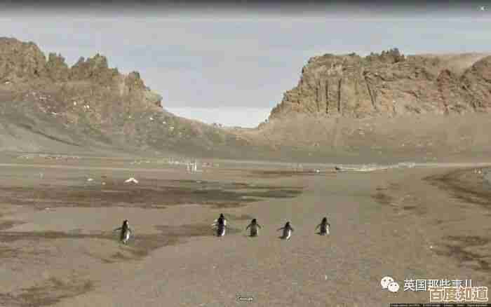 立即获取谷歌地图升级版，一键下载全球高清地图与街景数据