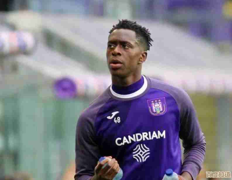 国家电网充电桩加盟计划,携手共建绿色出行新生态