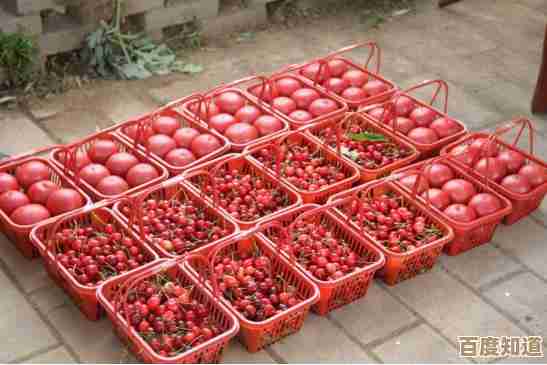 联众世界游戏大厅:畅享多样游戏乐趣,开启专属娱乐之旅! 联众世界游戏大厅:畅享多样游戏乐趣,开启专属娱乐之旅!