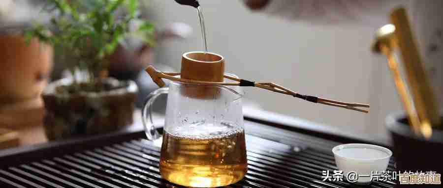 手机QQ空间：珍藏生活点滴，分享每一刻温馨回忆