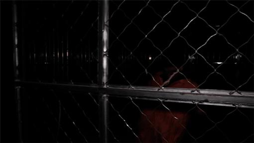 畅享《第五人格》惊悚求生玩法,下载体验沉浸式对决的刺激与挑战!