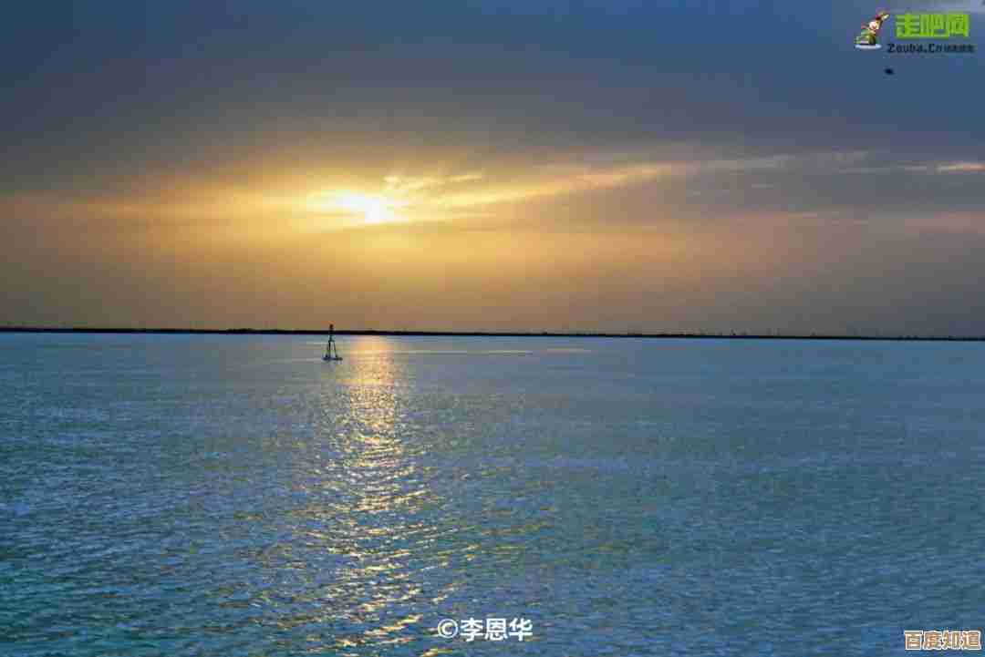 轻松获取纯净系统盘：操作系统安装镜像的高速下载方案