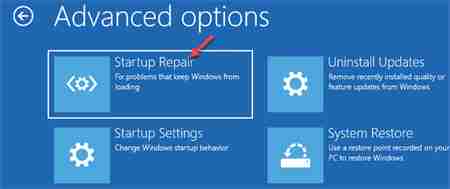 Windows 11双系统引导设置方法及注意事项