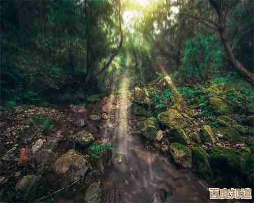 奇幻森林岛入坑那些坑和资源分配，先做这几件事.