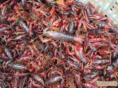 安全模式解除步骤详解：快速恢复设备正常使用