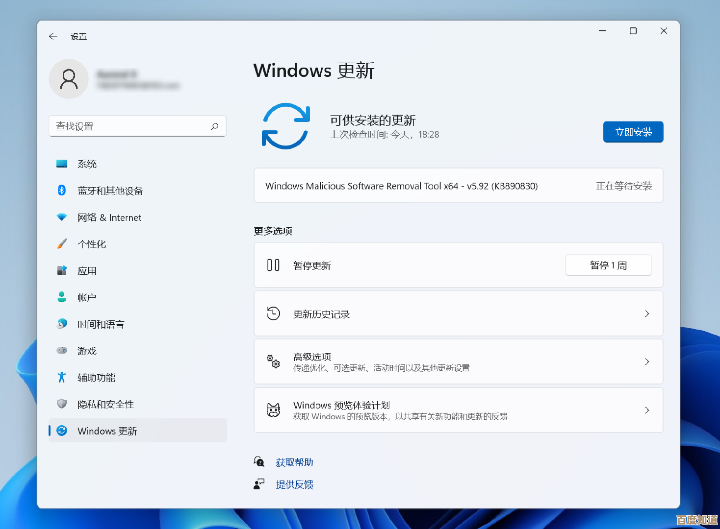 掌握Win11正式版版本号：实时查询与更新指南