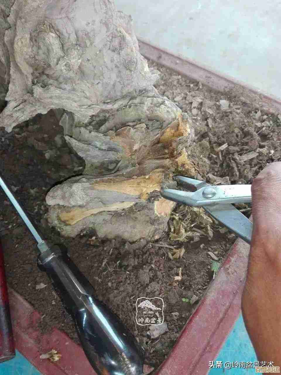 视频制作软件大比拼：找到最适合你的创作神器