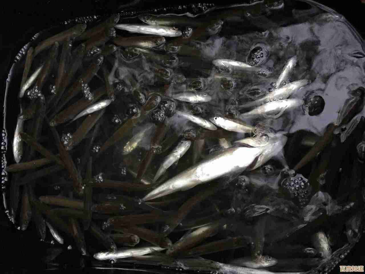 告别电脑卡顿烦恼，小鱼教您从根源优化提升运行速度