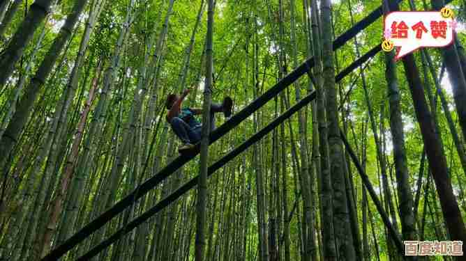 夺笋之争愈演愈烈:竹林生态平衡面临严峻挑战 夺笋之争愈演愈烈:竹林生态平衡面临严峻挑战