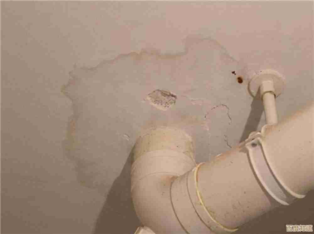 Windows 11网络连接问题排查与解决方法全解析