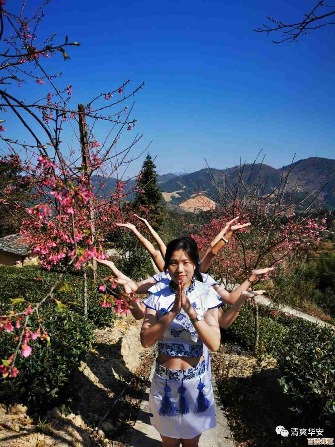 2021移动处理器性能天梯：手机CPU排名与选购指南全解析