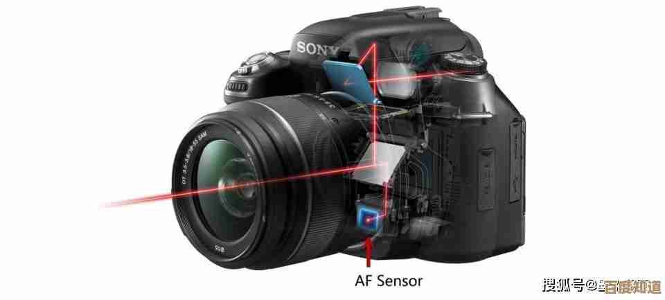 什么是单反？详细解读单反相机的特点及其在摄影领域的应用