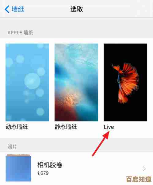 手把手教你设置苹果动态壁纸：自定义iPhone主屏幕动态效果