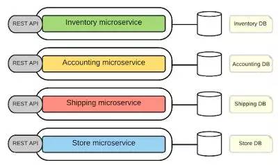 探索scope的多重含义及其在实践中的关键作用