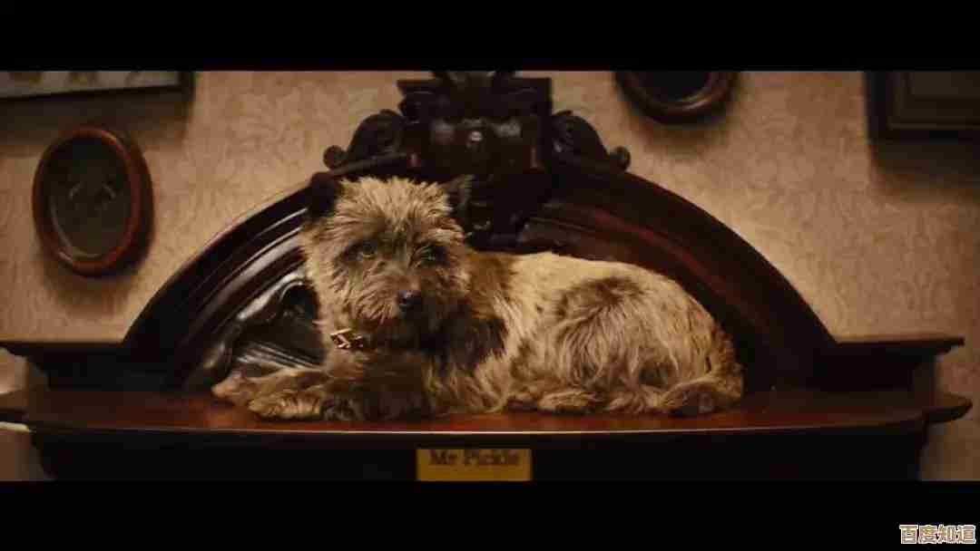 dnf特工选宠物别总纠结，实用能打的这些更适合你