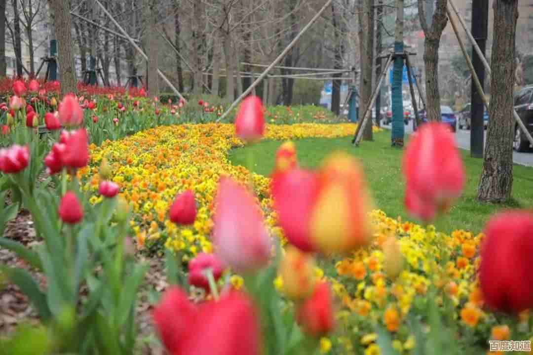 绝区零死路直通车攻略，实战走位与踩坑心得随手写