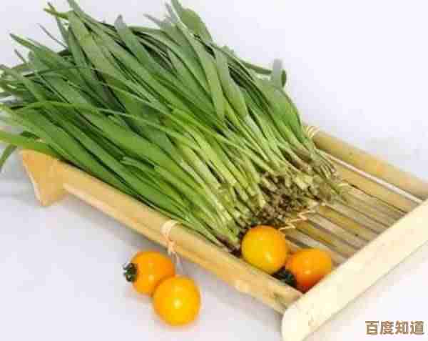 星露谷物语里韭菜到底值不值种？产量卖价还有料理用处随便说说…