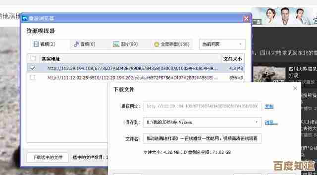 掌握网页视频下载技巧：一步步教你保存喜爱的在线内容