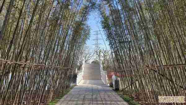 手机照片误删别慌张,专业数据恢复指南助您轻松找回珍贵瞬间 手机照片误删别慌张,专业数据恢复指南助您轻松找回珍贵瞬间