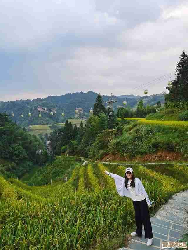 2022年最新电脑与移动处理器性能天梯图正式发布 2022年最新电脑与移动处理器性能天梯图正式发布