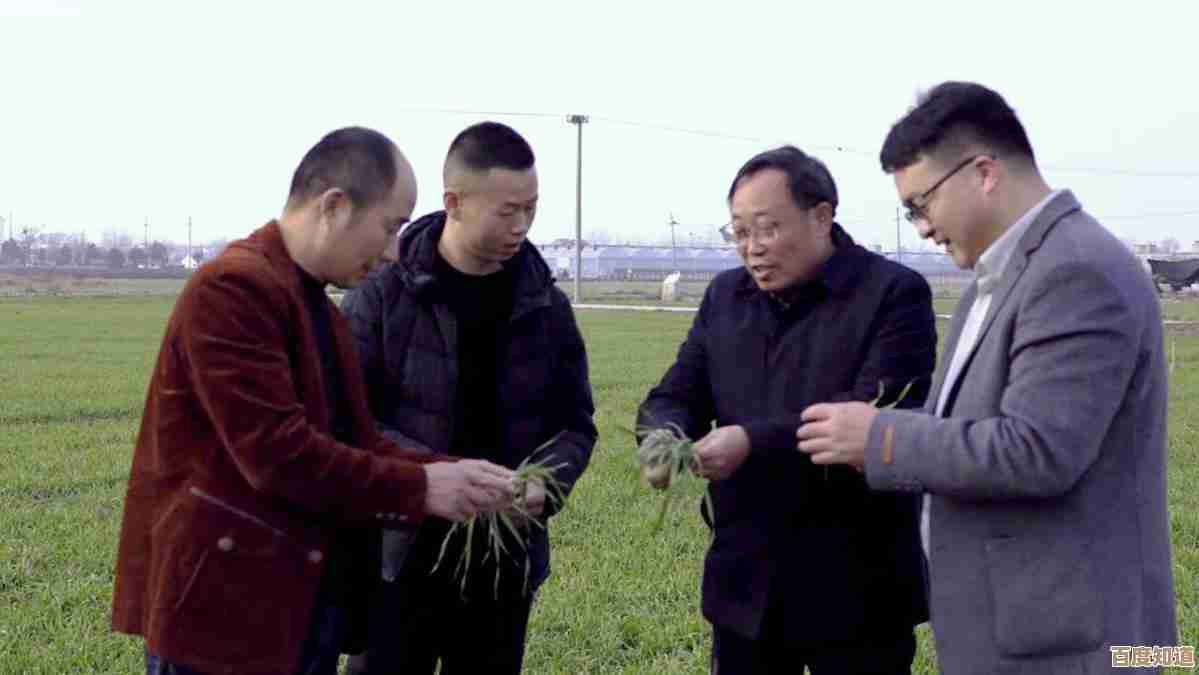 [QQ农场]播种希望，收获友情，共建温馨田园生活