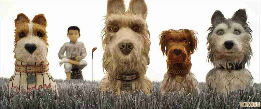 最新电影MP4高速下载通道，高清画质无广告免费观看体验