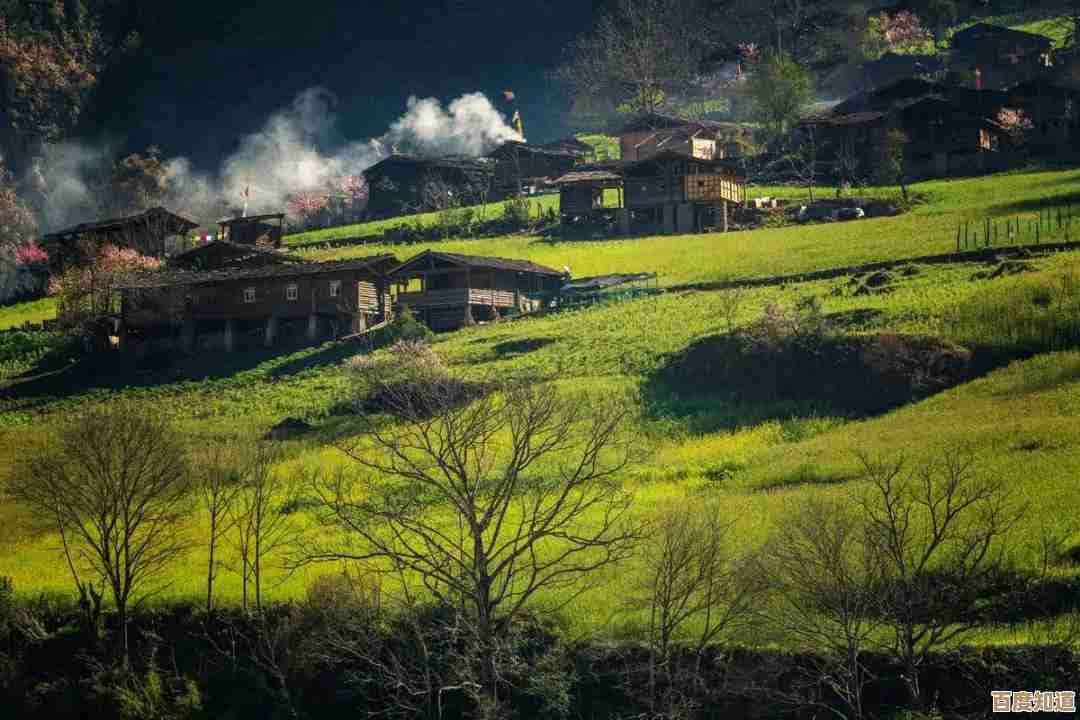 关于无限暖暖丰饶古村破旧房屋任务那些躲不过的小陷阱和解法