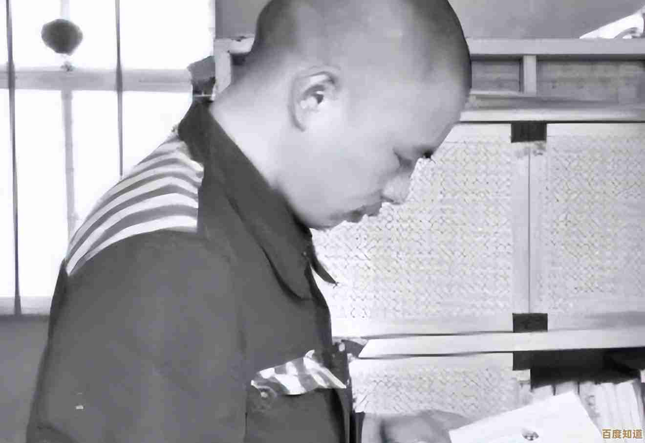 掌握五笔输入法秘诀，提升工作效率与打字体验