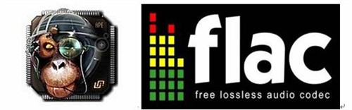 全面解读flac格式：为何成为无损音质首选？