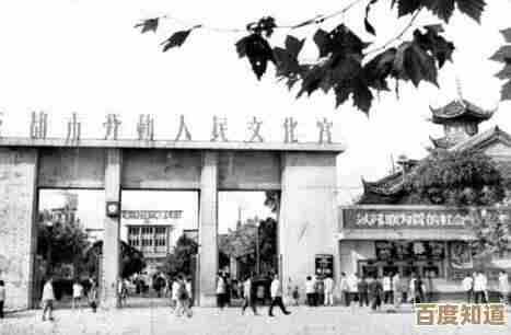 这些数字趣味游戏真该列入必玩清单省得翻来覆去找之类的 这些数字趣味游戏真该列入必玩清单省得翻来覆去找之类的