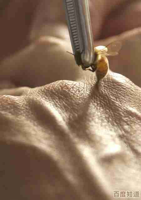 学极玉蜂针别只看招式，里头那些细节和连招，实操感觉要记牢吧