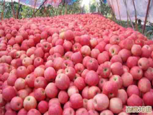 苹果在线：从枝头到您家，全程冷链守护，快速抵达的新鲜承诺！